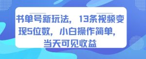书单号新玩法，13条视频变现5位数，小白操作简单，当天可见收益-财仔梦想资源网