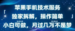 苹果手机技术服务，独家拆解，操作简单，小白可做，月过1W不是梦-财仔梦想资源网