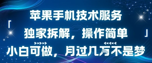 苹果手机技术服务，独家拆解，操作简单，小白可做，月过1W不是梦-财仔梦想资源网