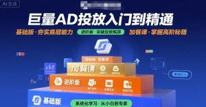 巨量AD投放入门到精通，基础版+进阶版+加餐课-财仔梦想资源网