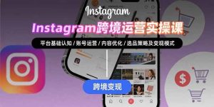 Instagram跨境运营实战：平台认知/账号运营/内容优化/选品策略及变现模式-财仔梦想资源网