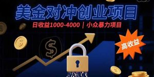 美金对冲创业项目，日收益1000-4000，小众暴力项目-财仔梦想资源网