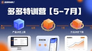 多多特训营【5-7月】产品决定上限，方法决定下限，各种玩法技巧落地实操-财仔梦想资源网