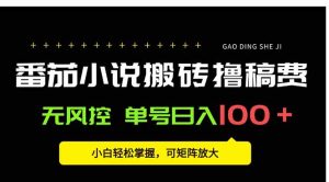 番茄小说创作人搬砖赚稿费，无风控单号日入100＋，小白轻松掌握，可矩…-财仔梦想资源网