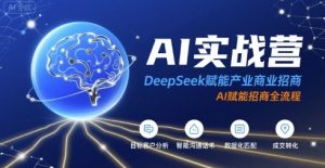AI实战营：DeepSeek赋能产业商业招商，AI赋能招商全流程-财仔梦想资源网