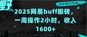 2025网易buff搬砖，一周操作2小时，收入1600+-财仔梦想资源网