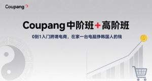 Coupang中阶班+高阶班，0到1入门跨境电商，在家一台电脑挣韩国人的钱-财仔梦想资源网