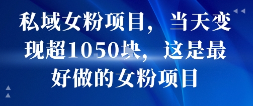 私域女粉项目，当天变现超1k，这是最好做的女粉项目，可放大操作-财仔梦想资源网