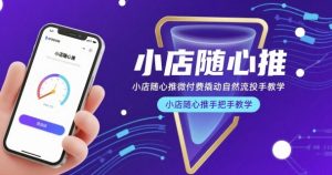 小店随心推微付费撬动自然流投手教学，小店随心推手把手教学-财仔梦想资源网
