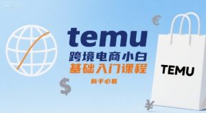 temu跨境电商小白基础入门课程，新手必看-财仔梦想资源网