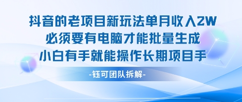 老项目新玩法单月收入2W小白有手就能操作长期项目-财仔梦想资源网