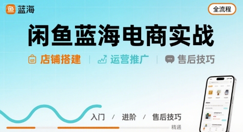 闲鱼蓝海电商实战，店铺搭建运营售后全流程-财仔梦想资源网