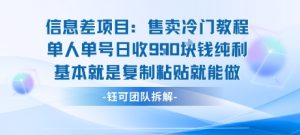 信息差项目：售卖冷门教程单人单号日收9张纯利基本就是复制粘贴就能做-财仔梦想资源网