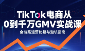 三千老师·TikTok电商从0到千万GMV实战课-财仔梦想资源网