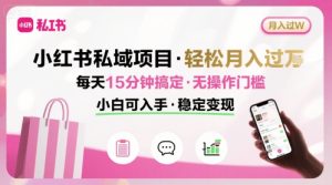 小红书私域项目月入过W非常轻松每天15分钟即可搞定，无任何操作门槛，小白可入手-财仔梦想资源网