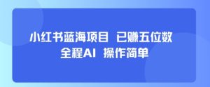 小红书蓝海项目，全程AI，操作简单，已挣五位数-财仔梦想资源网