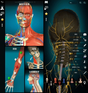 AnatomyLearning3D解剖学图谱v3.1.467医学生必备学习专业软件高级版-财仔梦想资源网