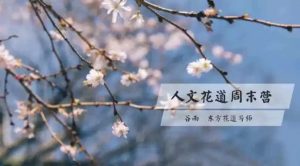 人文花道美学营-财仔梦想资源网