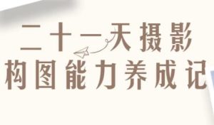 二十一天摄影构图能力养成记-财仔梦想资源网