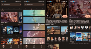 AfuseKt网络视频播放器v2.9.1-财仔梦想资源网