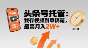 【头条号托管】我存视频到草稿箱，你每天5分钟发布，最高月入2W+【揭秘】-财仔梦想资源网