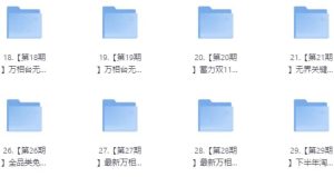 白凤电商淘系运营21天速成班-财仔梦想资源网