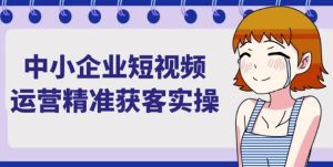 中小企业短视频运营精准获客实操-财仔梦想资源网