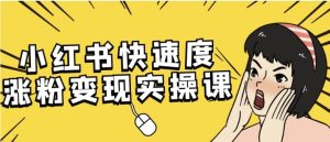 小红书快速度涨粉变现实操课-财仔梦想资源网