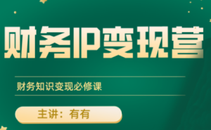 有有老师·财务IP变现营，财务知识变现必修课-财仔梦想资源网