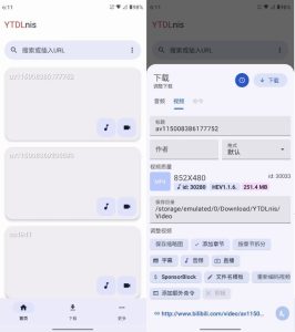 YTDLnis视频下载工具v1.8.5官方版-财仔梦想资源网