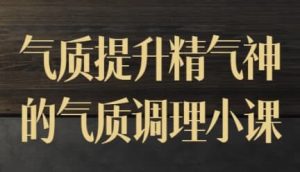 气质提升精气神的气质调理小课-财仔梦想资源网