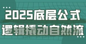 2025底层公式逻辑撬动自然流-财仔梦想资源网