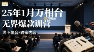 25年1月万相台无界爆款特训营线下录音-财仔梦想资源网