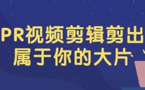 PR视频剪辑剪出属于你的大片-财仔梦想资源网