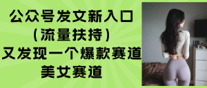 公众号发文新入口(流量扶持-财仔梦想资源网