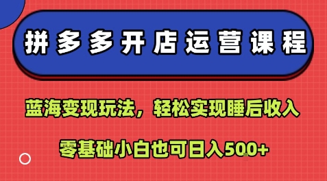 拼多多开店运营课程：蓝海变现玩法，轻松实现睡后收入，零基础小白也可日入5张-财仔梦想资源网