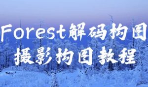Forest解码构图摄影构图教程-财仔梦想资源网