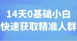 14天0基础小白快速获取精准人群-财仔梦想资源网