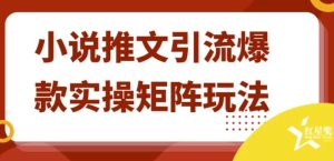 小说推文引流爆款实操矩阵玩法-财仔梦想资源网