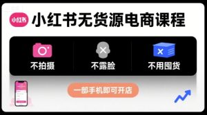 小红书无货源电商课程，不拍摄不露脸不用囤货，一部手机即可开店-财仔梦想资源网