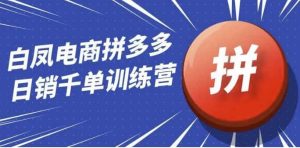 白凤电商拼多多日销千单训练营-财仔梦想资源网