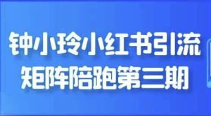 钟小玲小红书引流矩阵陪跑第三期-财仔梦想资源网