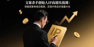 文案杀手创始人IP高端实战课：突破高客单成交瓶颈，实现IP商业价值最大化-财仔梦想资源网