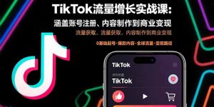 TikTok流量增长实战课：涵盖账号注册、流量获取、内容制作到商业变现-财仔梦想资源网