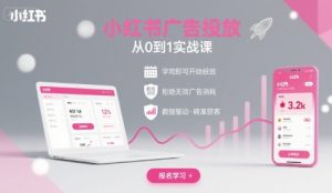 小红书广告投放从0到1的实战课，学完即可开始投放，拒绝无效广告消耗-财仔梦想资源网