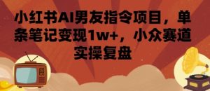 小红书AI男友指令项目，单条笔记变现1w+，小众赛道实操复盘-财仔梦想资源网
