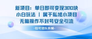 新项目单日即可变现3张的小白玩法无脑操作不封号安全引流-财仔梦想资源网