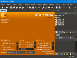 010Editor(专业十六进制编辑器)v16.0.1汉化便携版-财仔梦想资源网