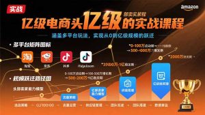 亿级电商头部卖家的实战课程:涵盖多平台玩法,实现从0到亿级规模的跃迁-财仔梦想资源网