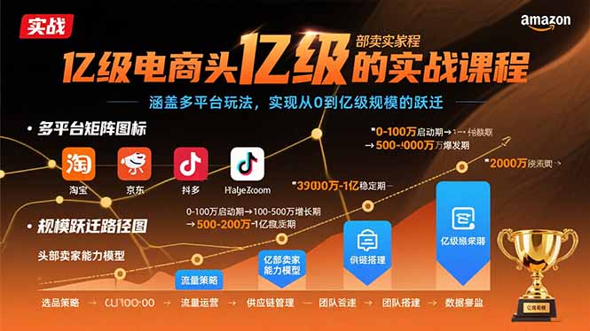 亿级电商头部卖家的实战课程：涵盖多平台玩法，实现从0到亿级规模的跃迁-财仔梦想资源网